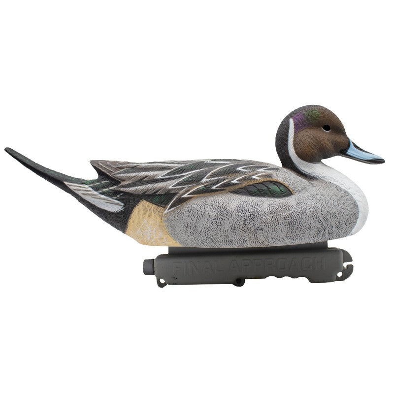 SET DA 6PZ DI STAMPO CODONE MASCHIO Passione Natura