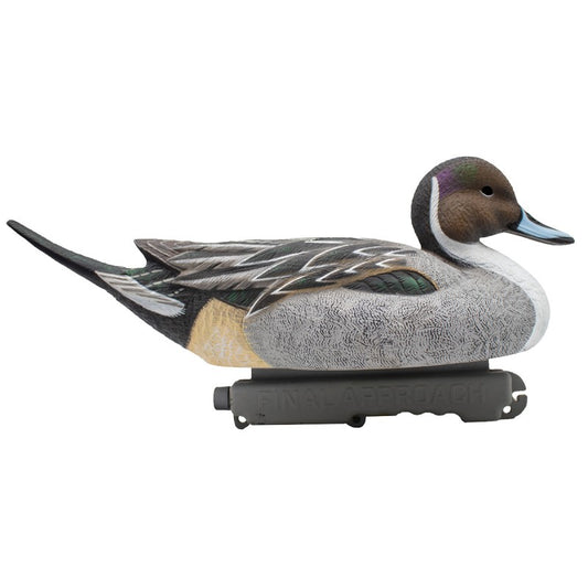 SET DA 6PZ DI STAMPO CODONE MASCHIO Passione Natura