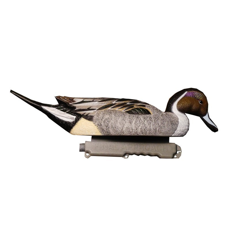 SET DA 6PZ DI STAMPO CODONE MASCHIO Passione Natura