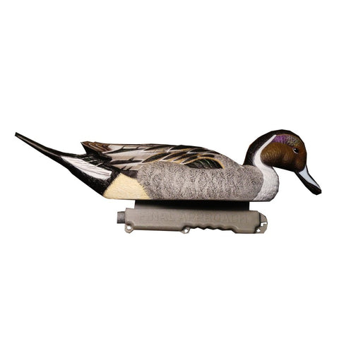 SET DA 6PZ DI STAMPO CODONE MASCHIO Passione Natura