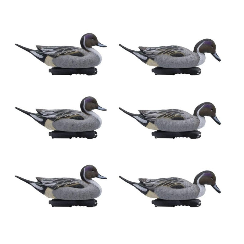 SET DA 6PZ DI STAMPO CODONE MASCHIO Passione Natura