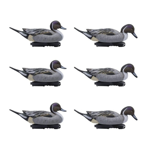 SET DA 6PZ DI STAMPO CODONE MASCHIO Passione Natura