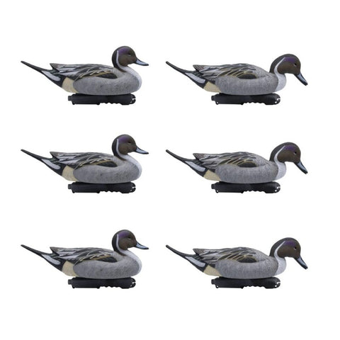 SET DA 6PZ DI STAMPO CODONE MASCHIO Passione Natura