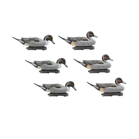 SET DA 6PZ DI STAMPO CODONE MASCHIO Passione Natura