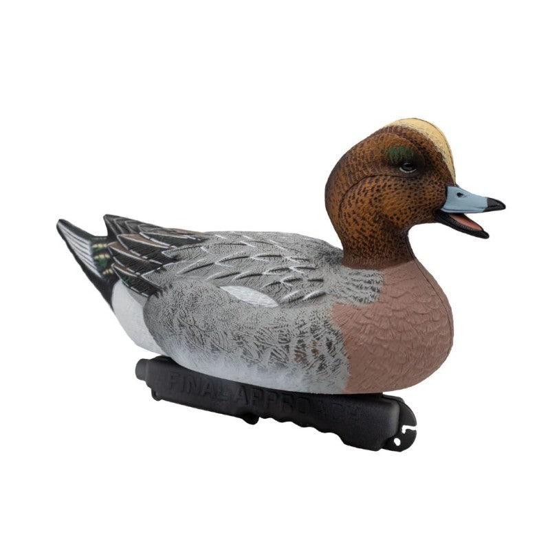 SET DA 6PZ DI STAMPO FISCHIONE MASCHIO E FEMMINA Passione Natura