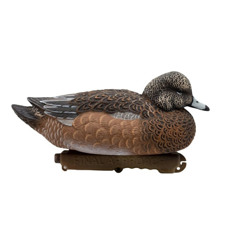 SET DA 6PZ DI STAMPO FISCHIONE MASCHIO E FEMMINA Passione Natura