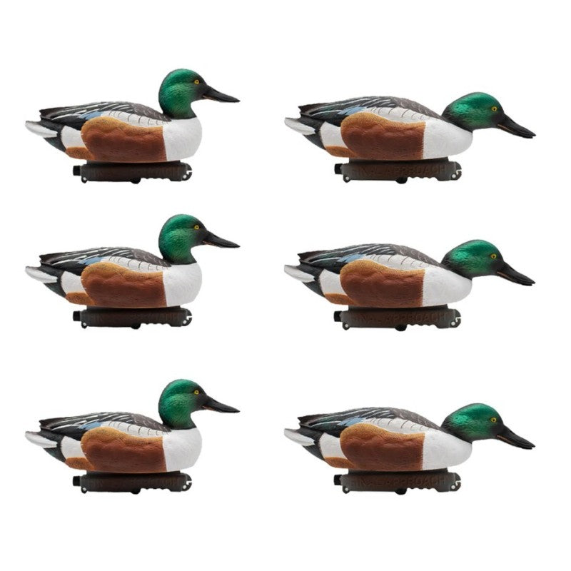 SET DA 6PZ DI STAMPO MESTOLONE MASCHIO Passione Natura