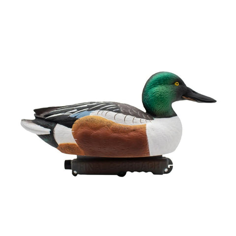 SET DA 6PZ DI STAMPO MESTOLONE MASCHIO Passione Natura