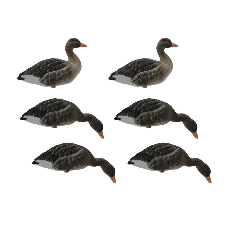 SET DA 6PZ DI STAMPO OCA SELVATICA FLOCKED Passione Natura