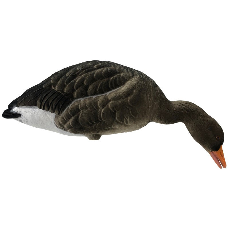 SET DA 6PZ DI STAMPO OCA SELVATICA FLOCKED Passione Natura