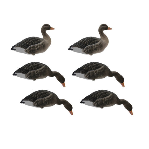 SET DA 6PZ DI STAMPO OCA SELVATICA FLOCKED Passione Natura