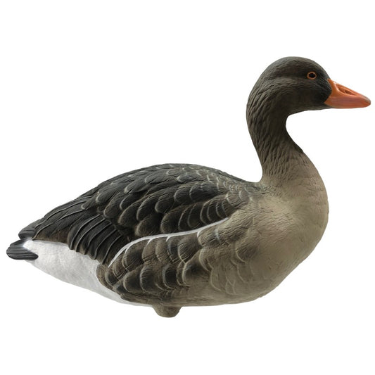 SET DA 6PZ DI STAMPO OCA SELVATICA Passione Natura