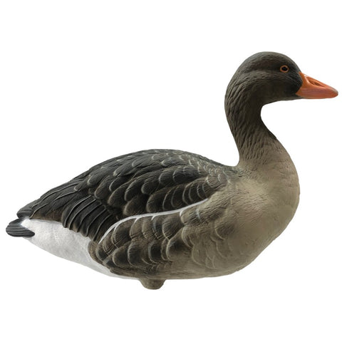 SET DA 6PZ DI STAMPO OCA SELVATICA Passione Natura